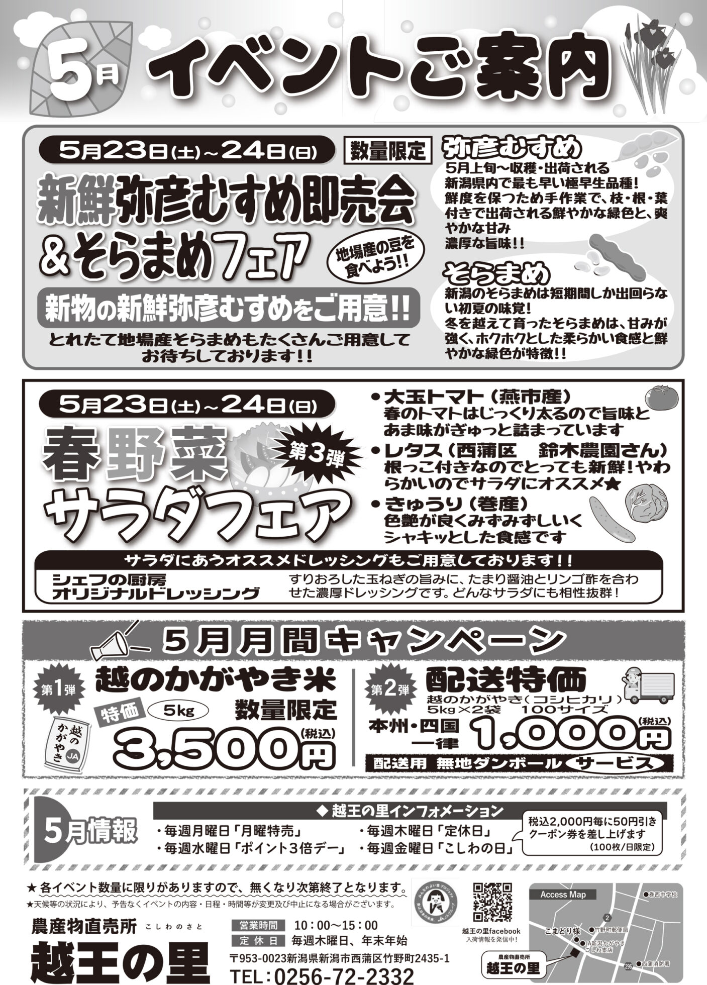チラシ