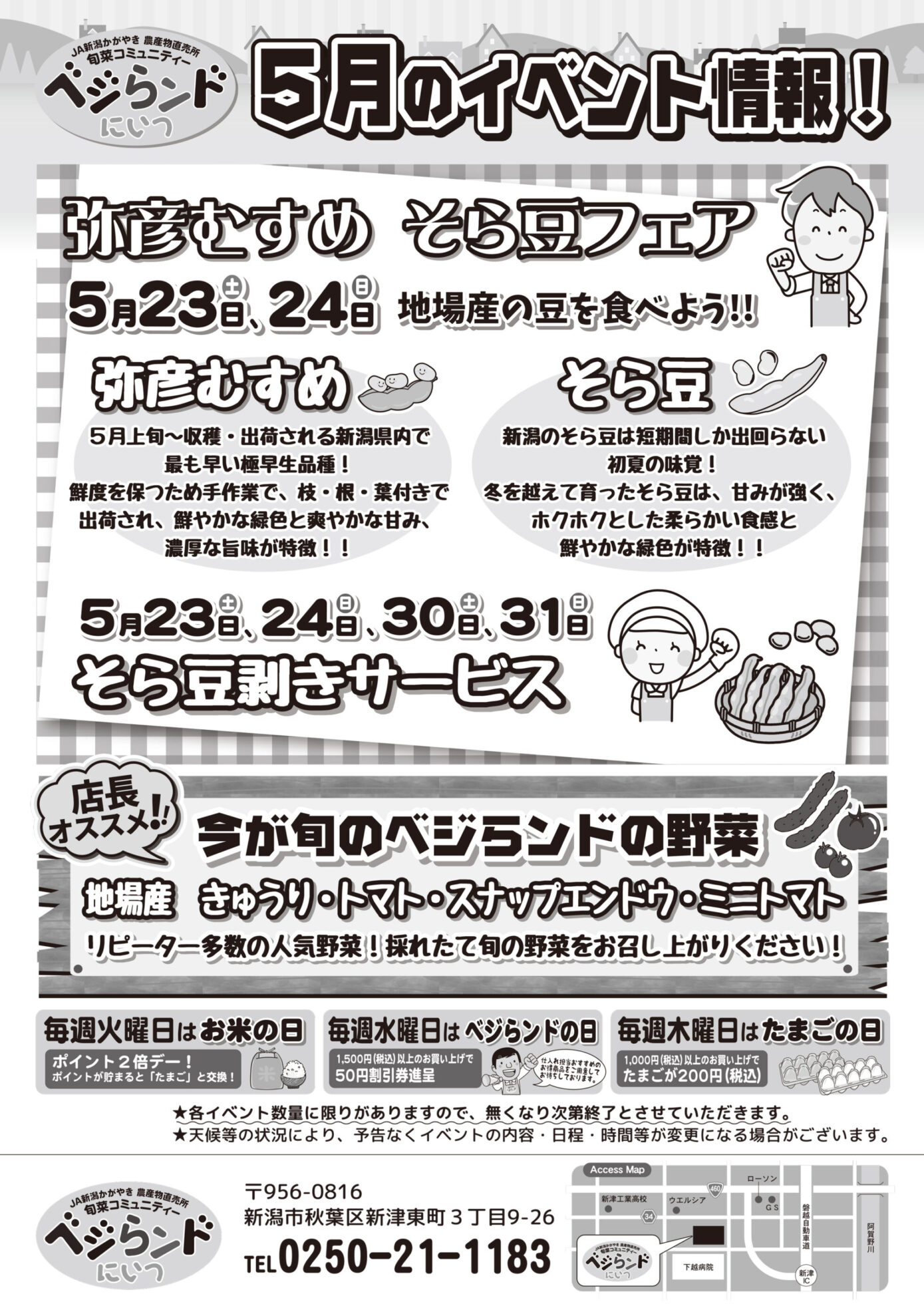 チラシ