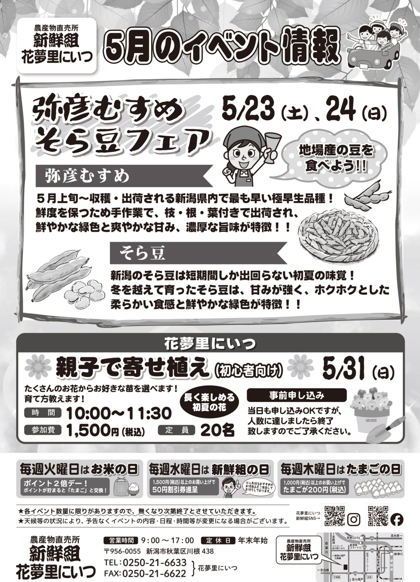 チラシ