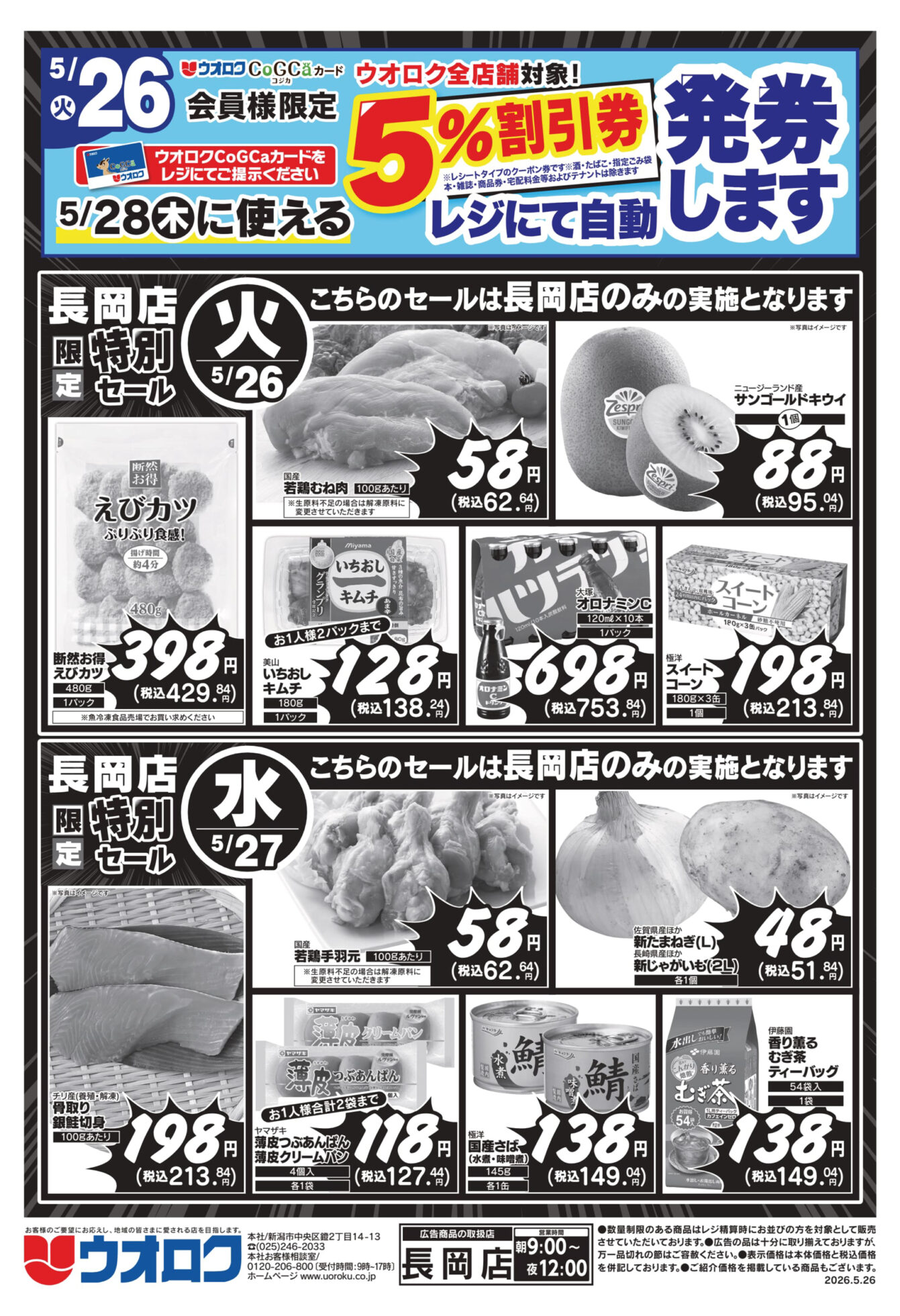 チラシ
