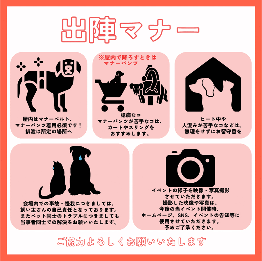 にいがた犬の陣・猫の陣