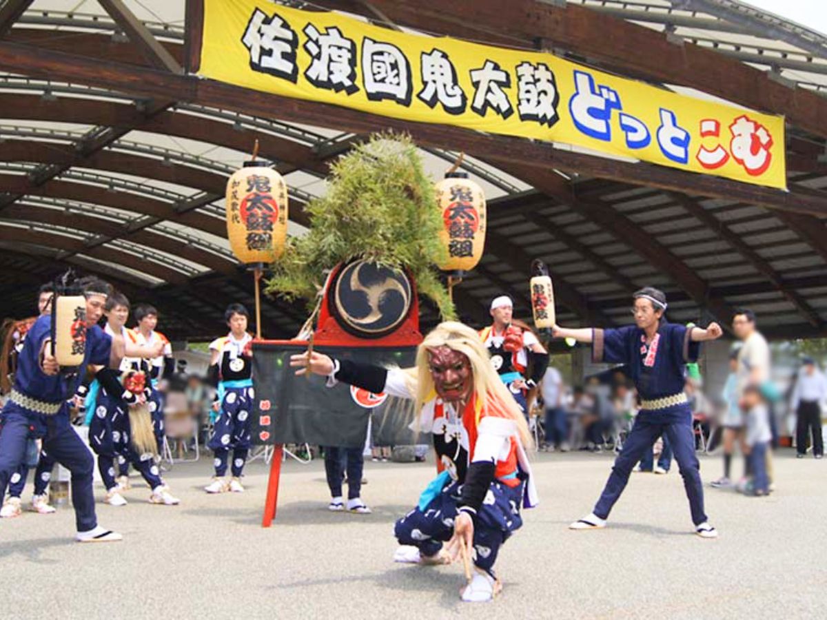 佐渡鬼太鼓どっとこむ