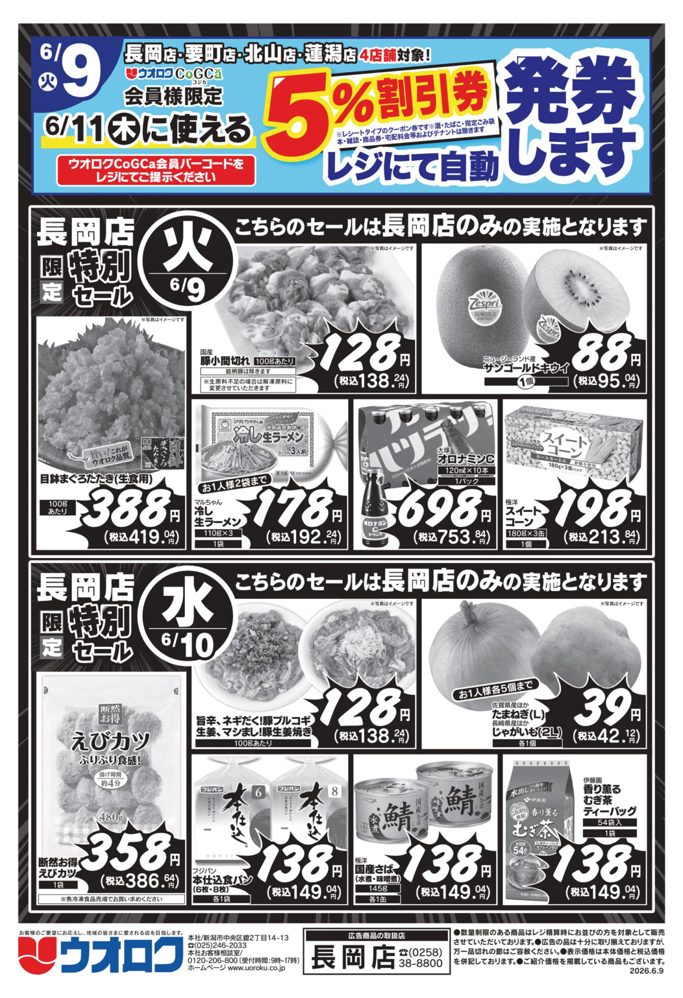 チラシ