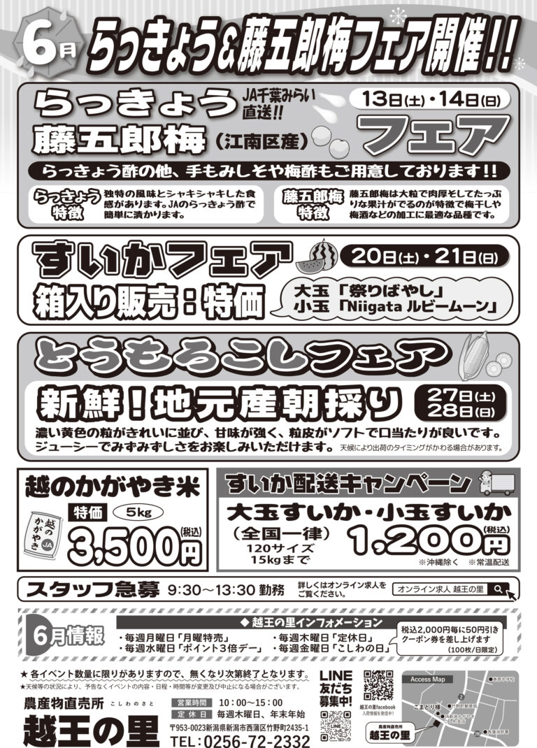 チラシ
