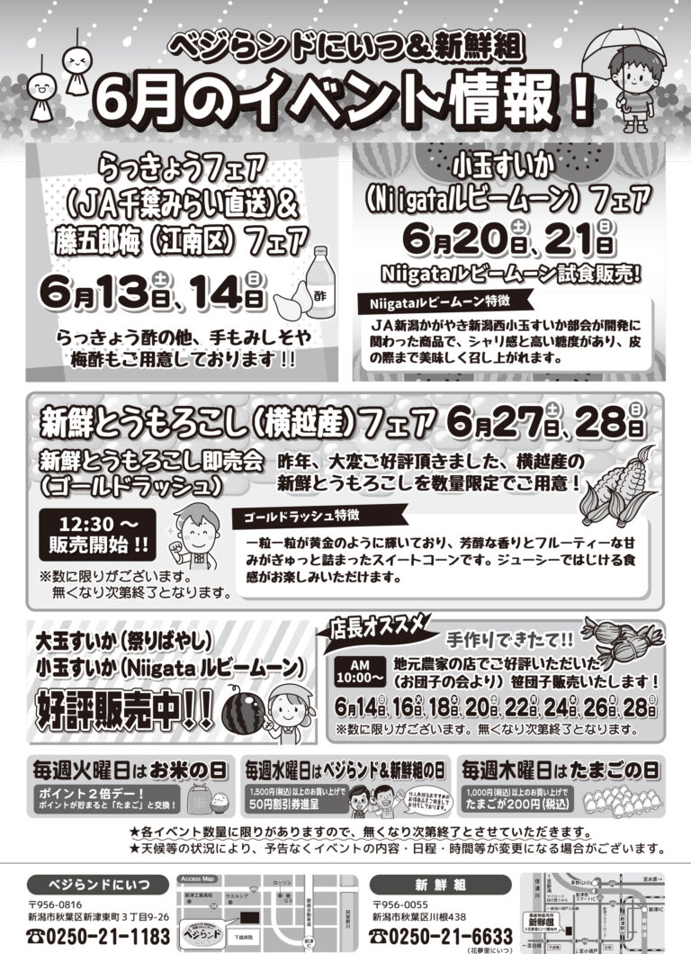 チラシ