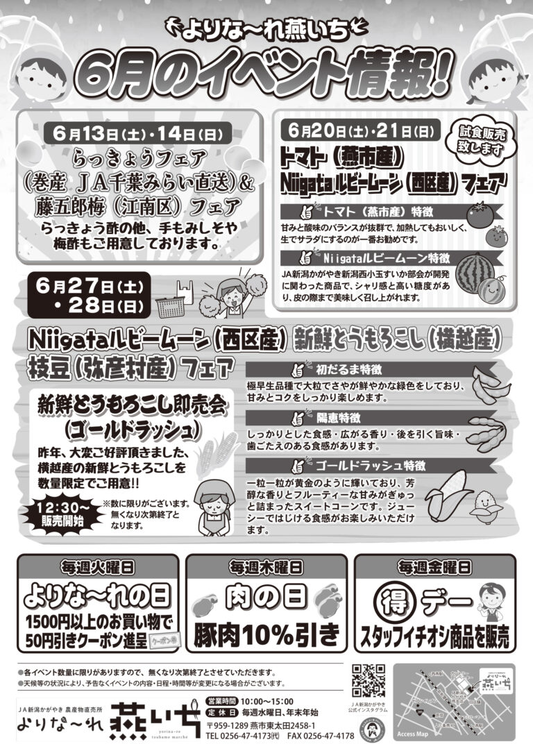 チラシ