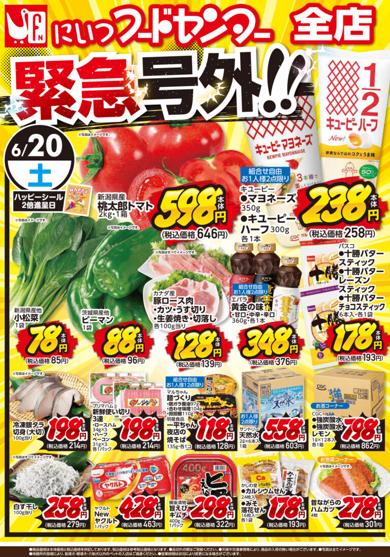 チラシ