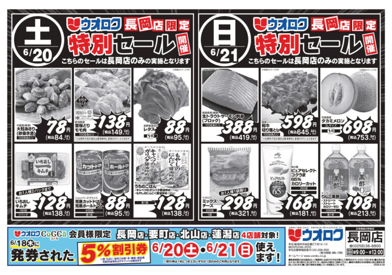 チラシ