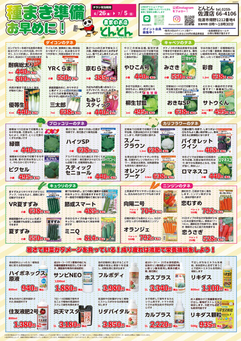 チラシ