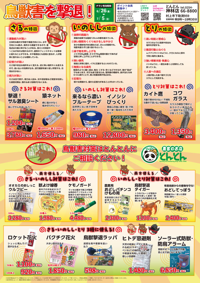 チラシ