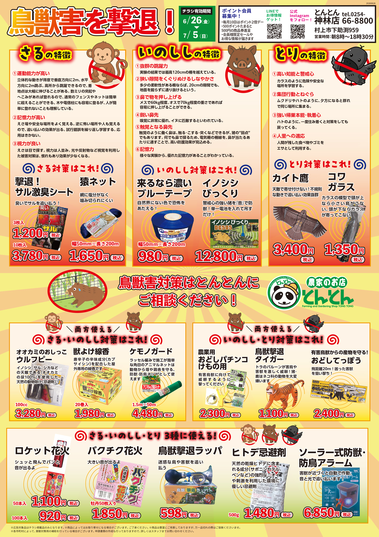 チラシ