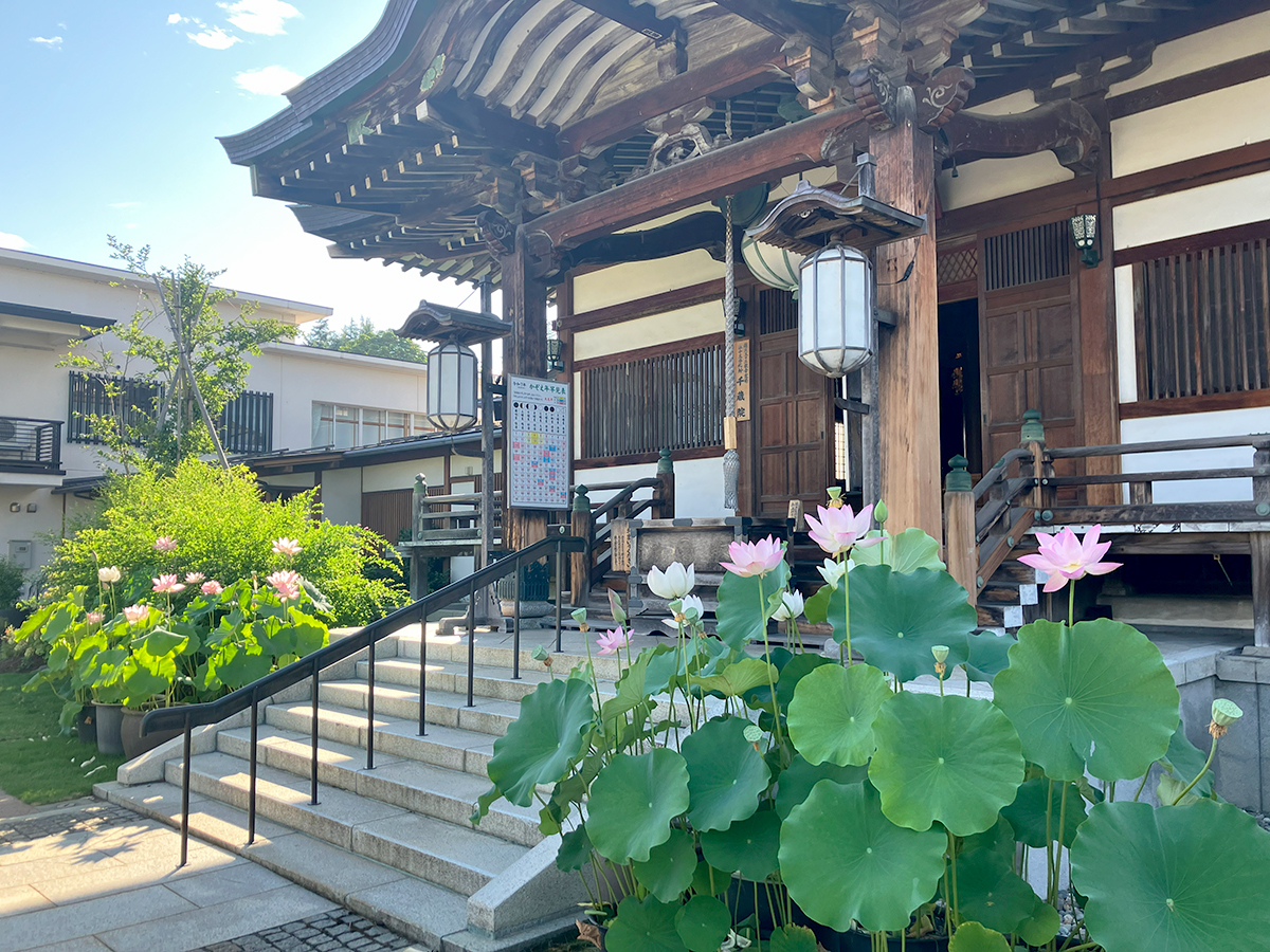 千手観音 千蔵院