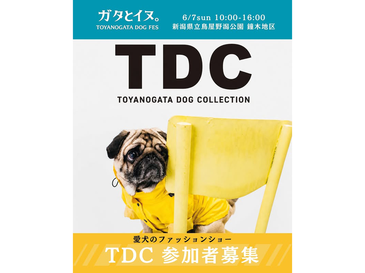 ガタとイヌ。TOYANOGATA DOGFES