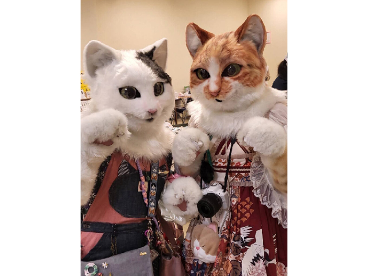 第8回 猫フェス＠上越