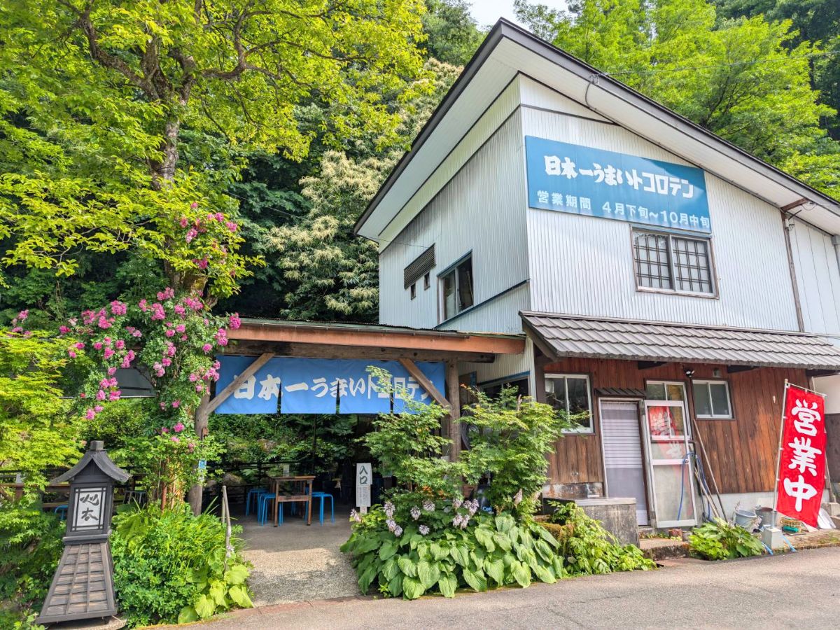 日本一うまいトコロテン(大島区)