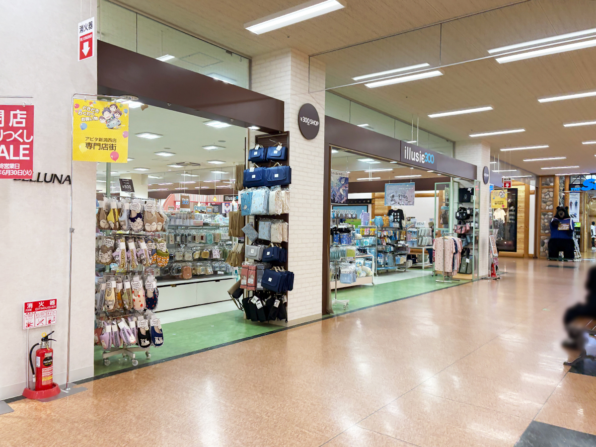 ベルーナ アピタ新潟西店の場所