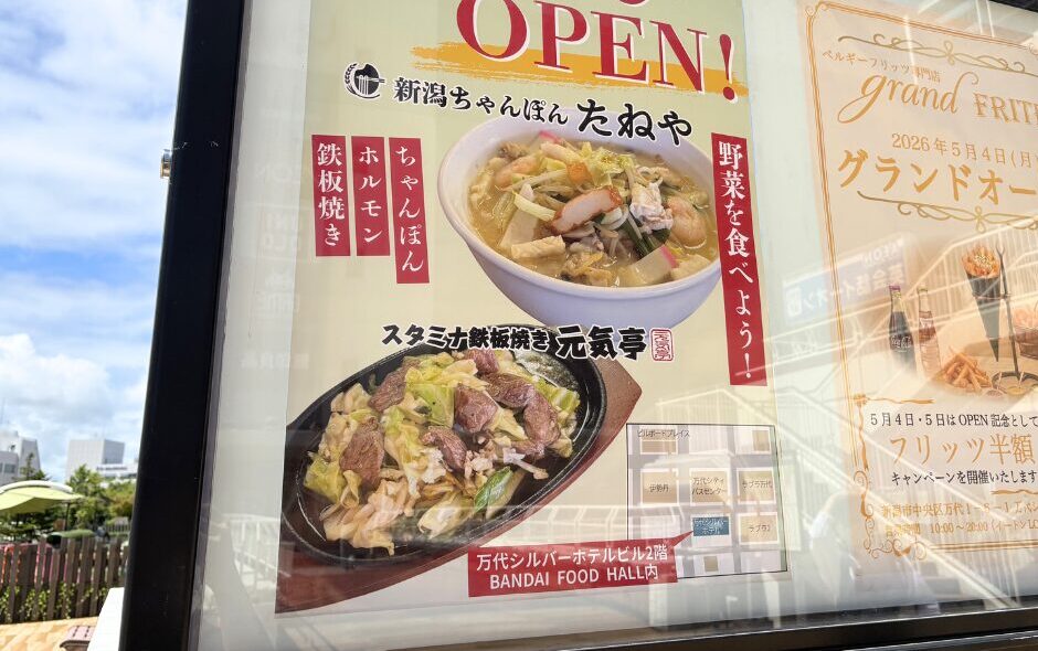 新潟ちゃんぽん たねやのメニュー
