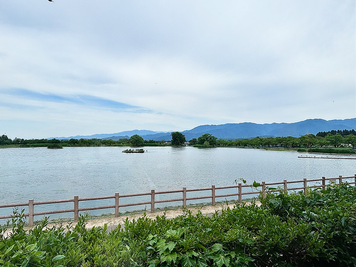 瓢湖