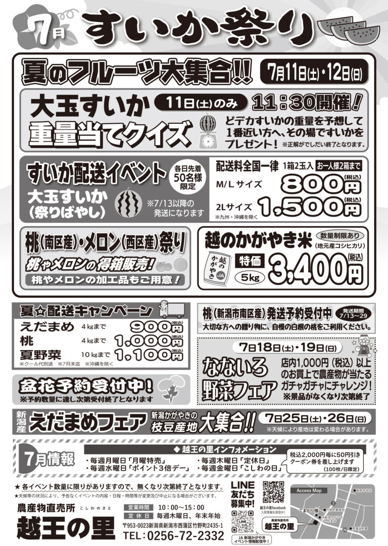 チラシ