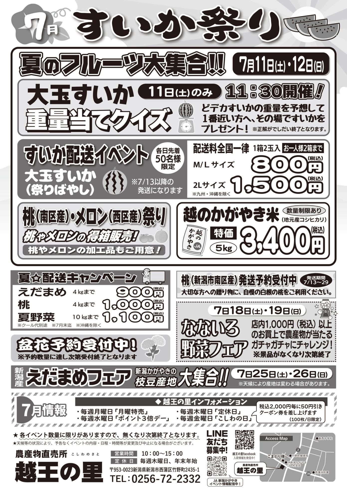 チラシ
