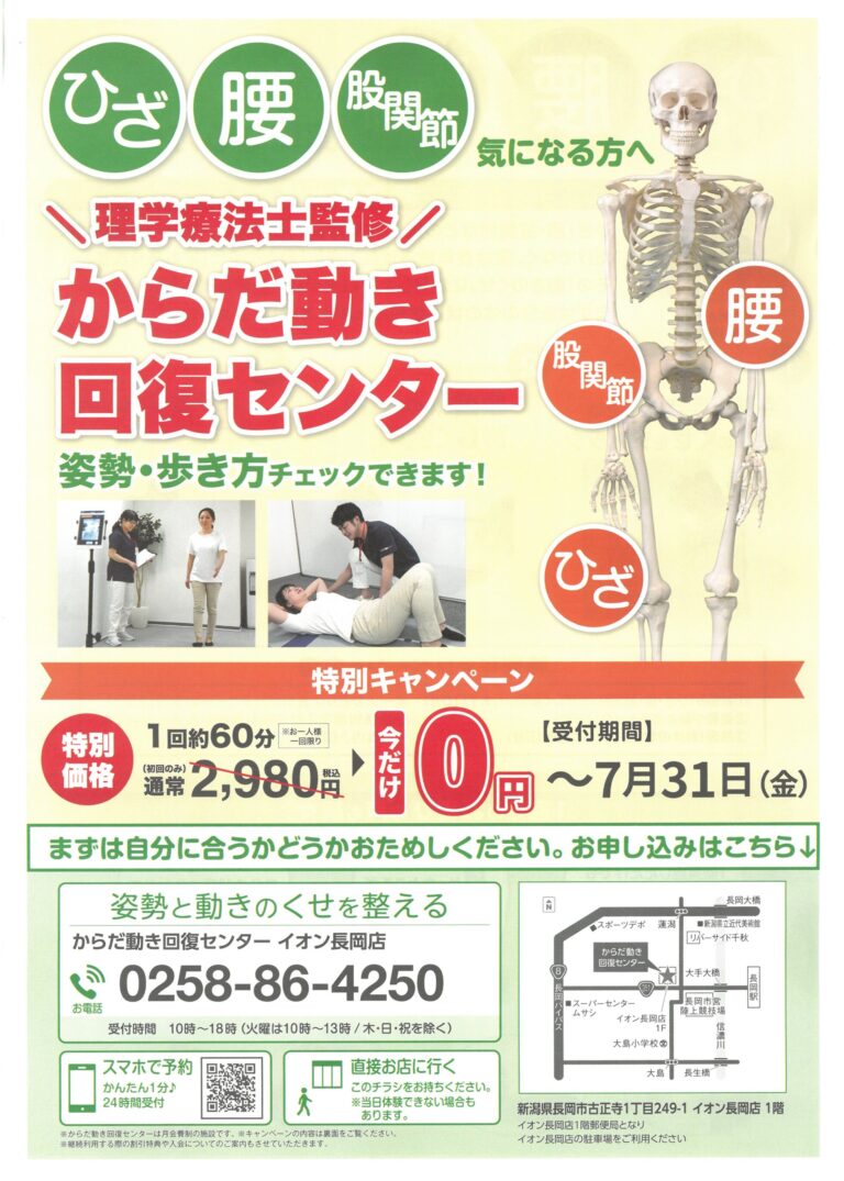 チラシ