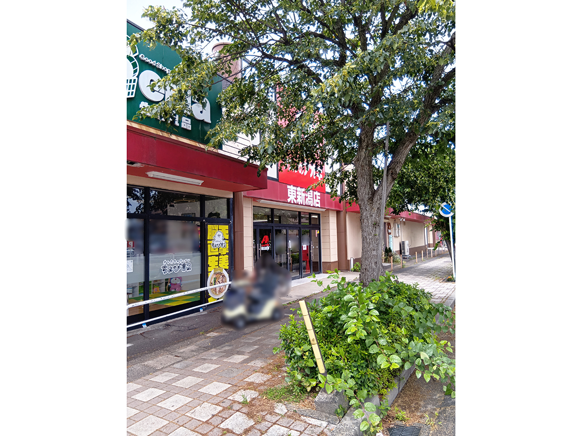 クスリのアオキ 東新潟店の外観