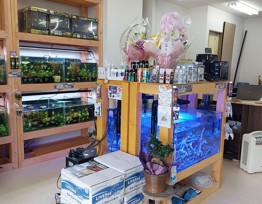あくあしょっぷ ぎんなんの店内