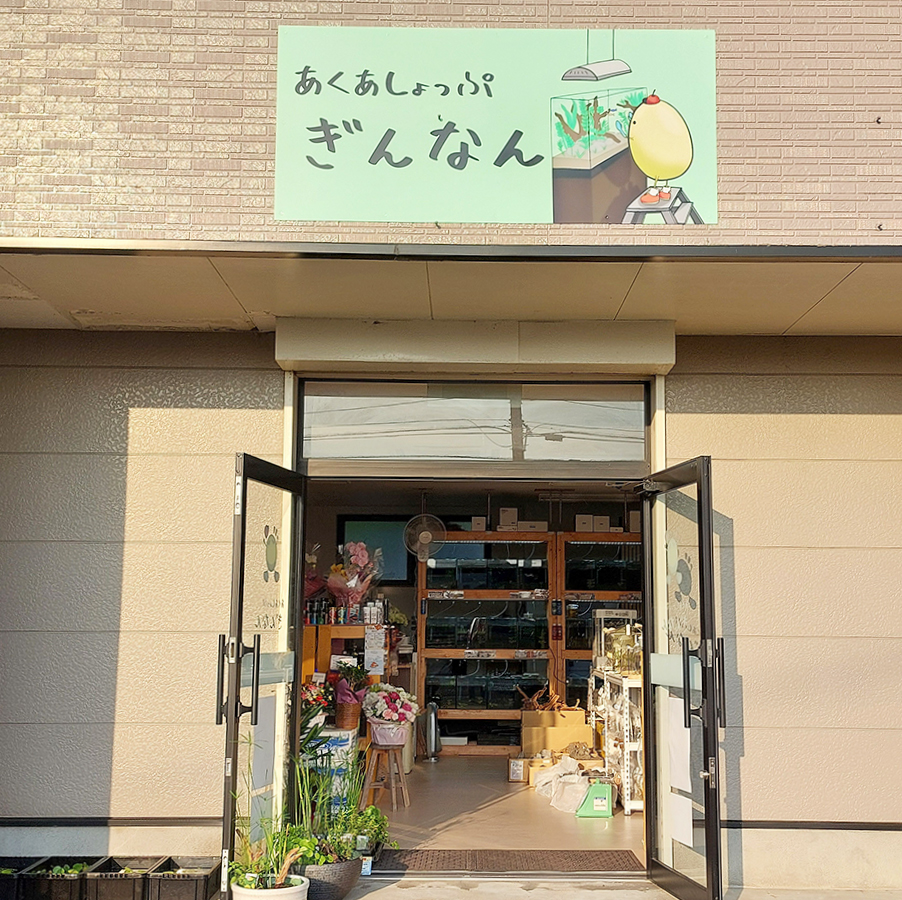 あくあしょっぷ ぎんなんの外観