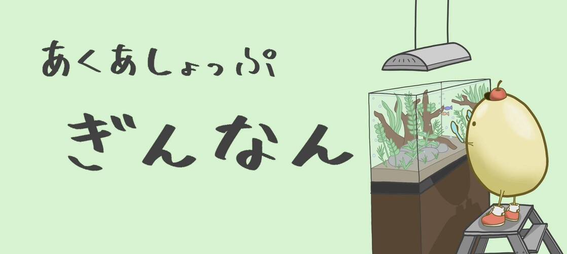 あくあしょっぷ ぎんなんの看板