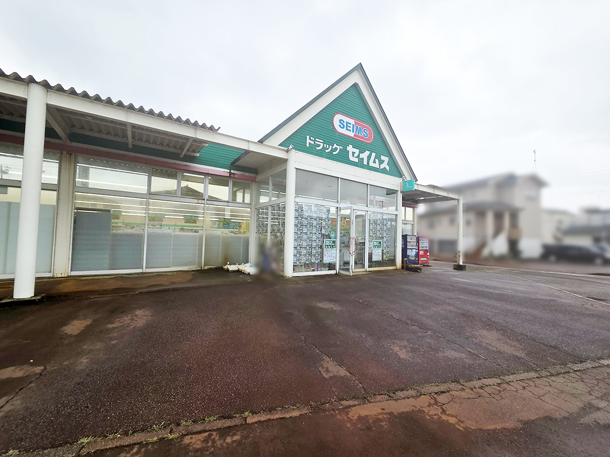 ドラッグセイムス 昭和店