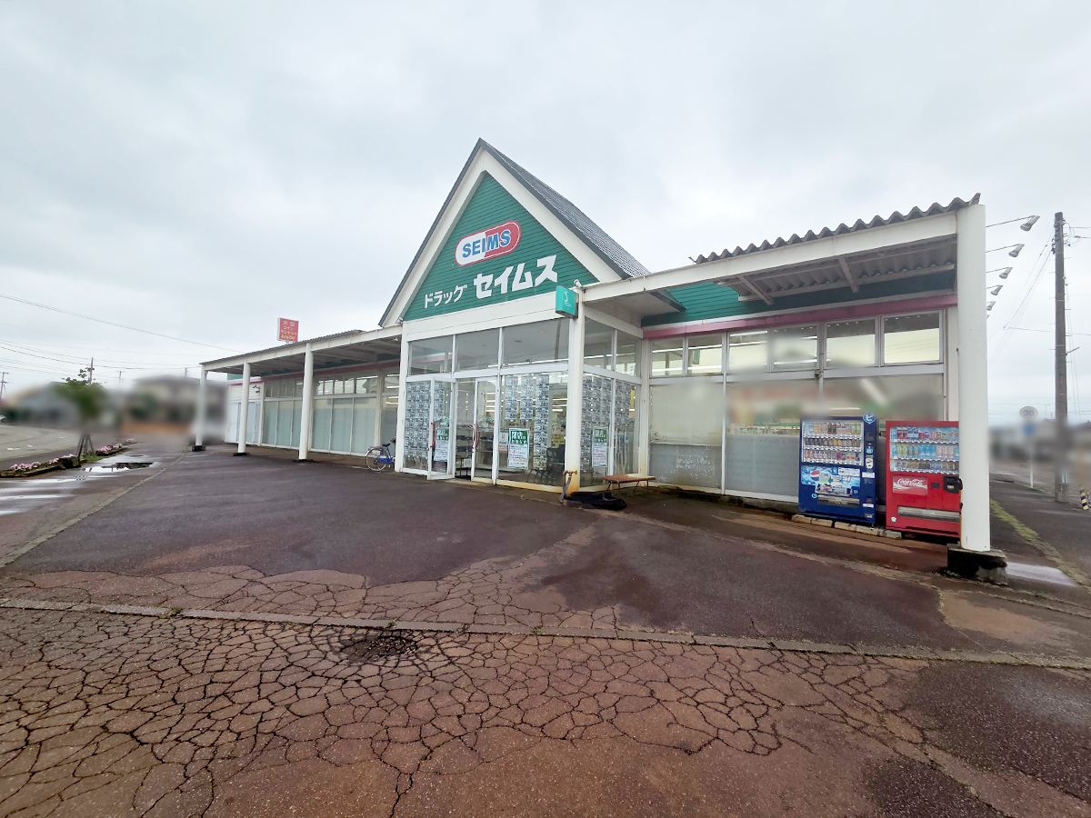 ドラッグセイムス 昭和店