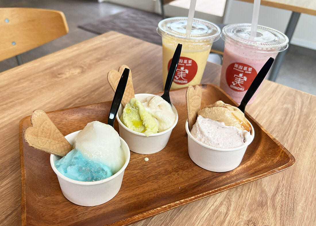 新潟菜果 Premium AGRI 実 MINORI