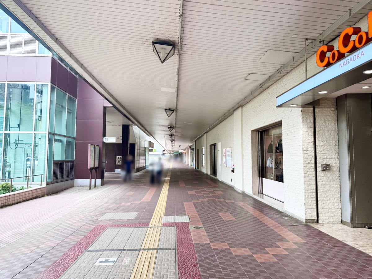 メガ豚パンチ ココロ長岡店の場所