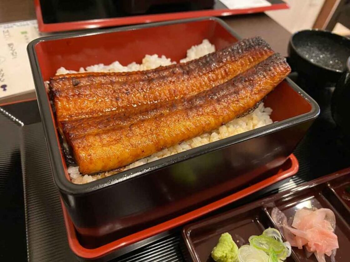 鰻の成瀬 長岡店のうな重 梅