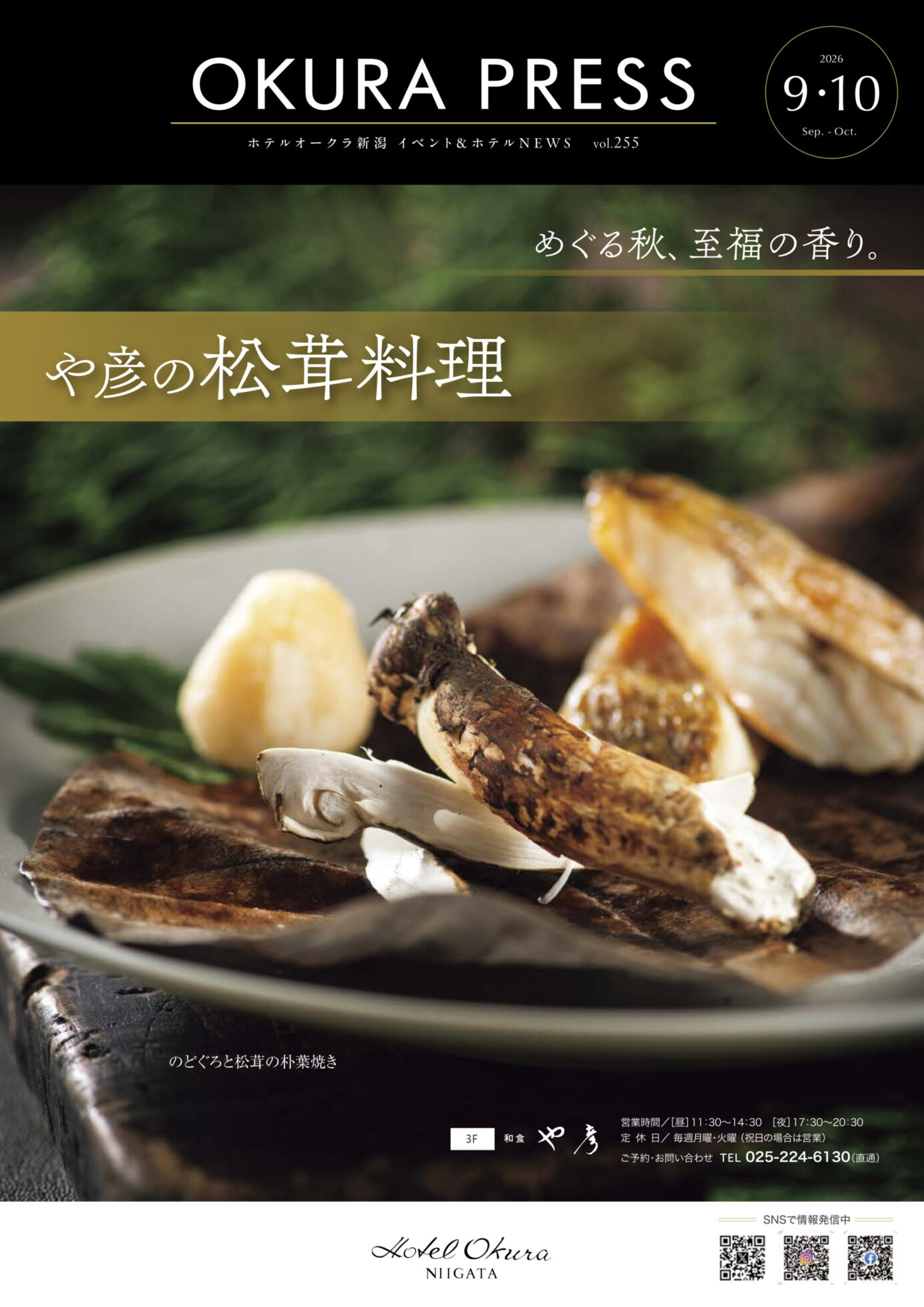 チラシ