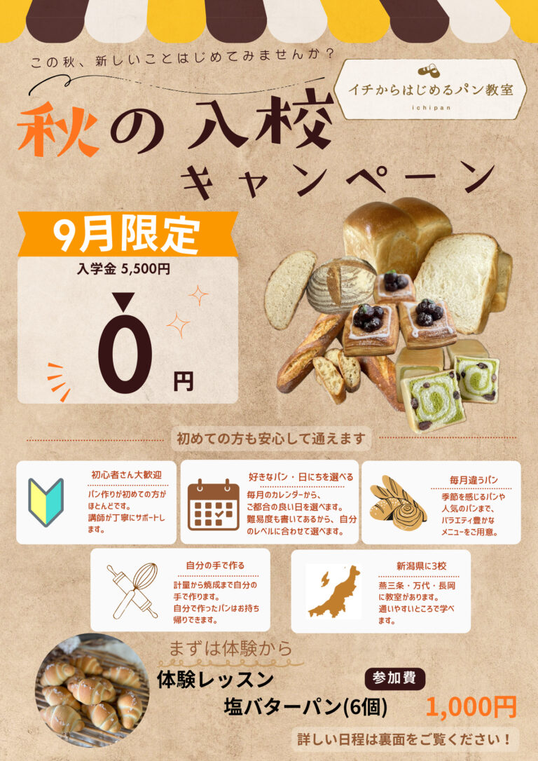 チラシ