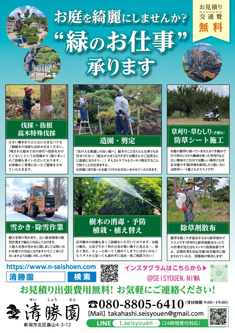 チラシ