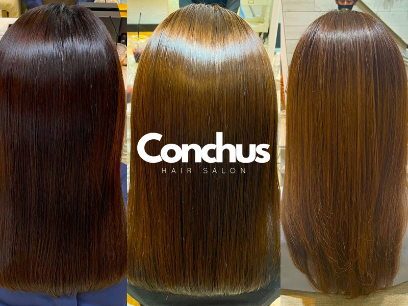 Conchus