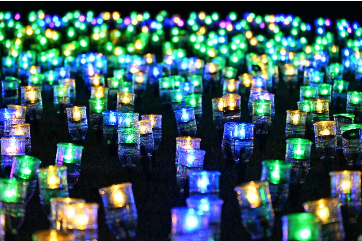オヂヤホタル2026～OJIYA HOTARU illumination～