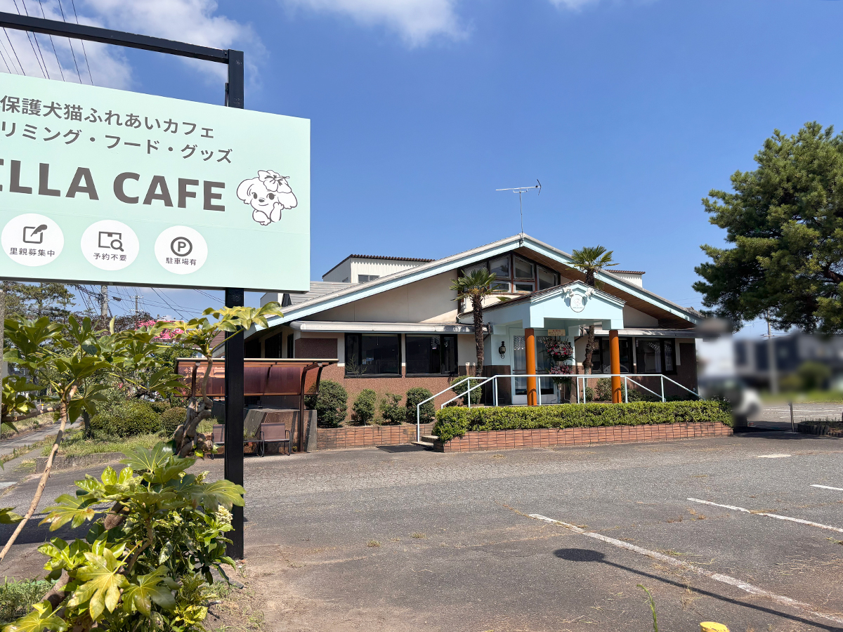 ANELLA CAFE 