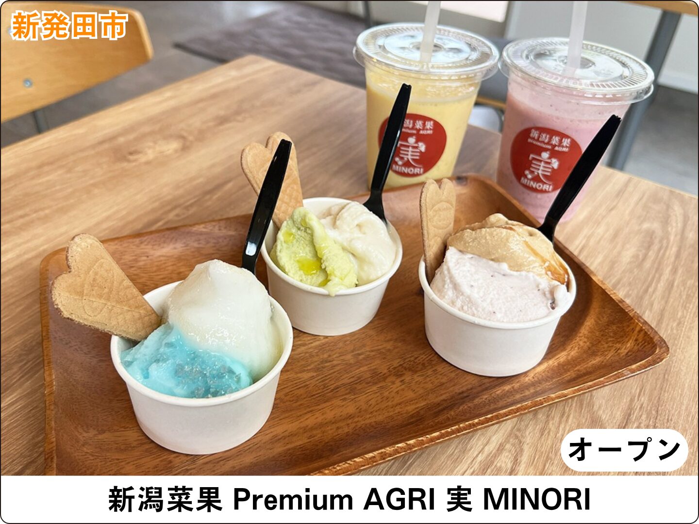 新潟菜果 Premium AGRI 実 MINORI