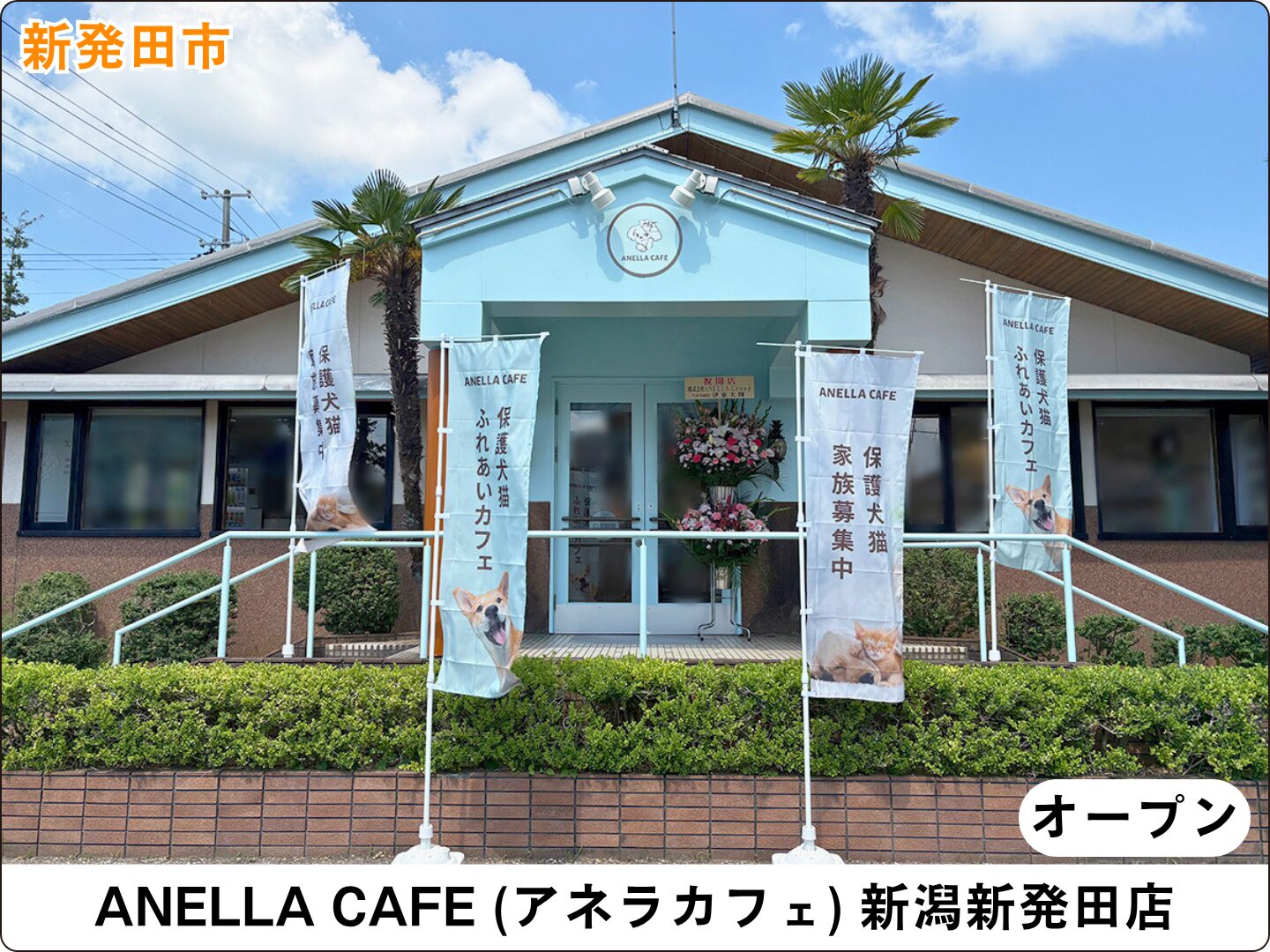 ANELLA CAFE (アネラカフェ) 新潟新発田店