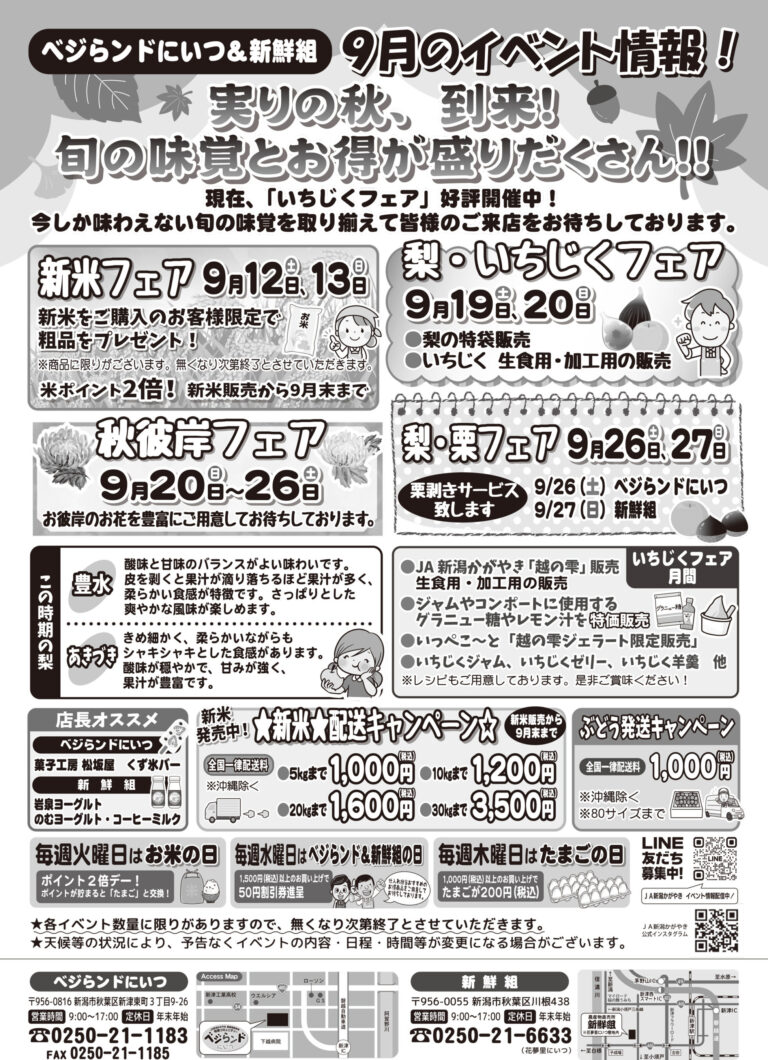 チラシ
