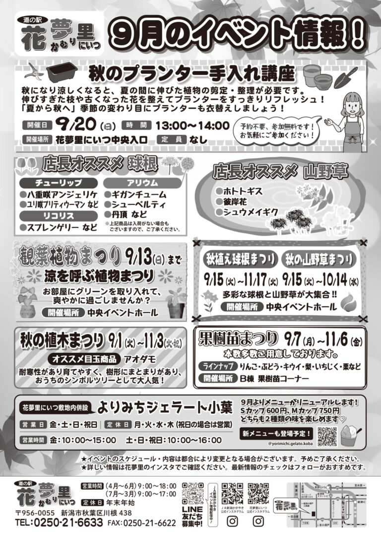 チラシ