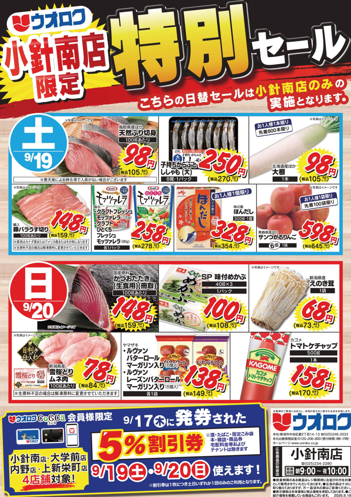 チラシ
