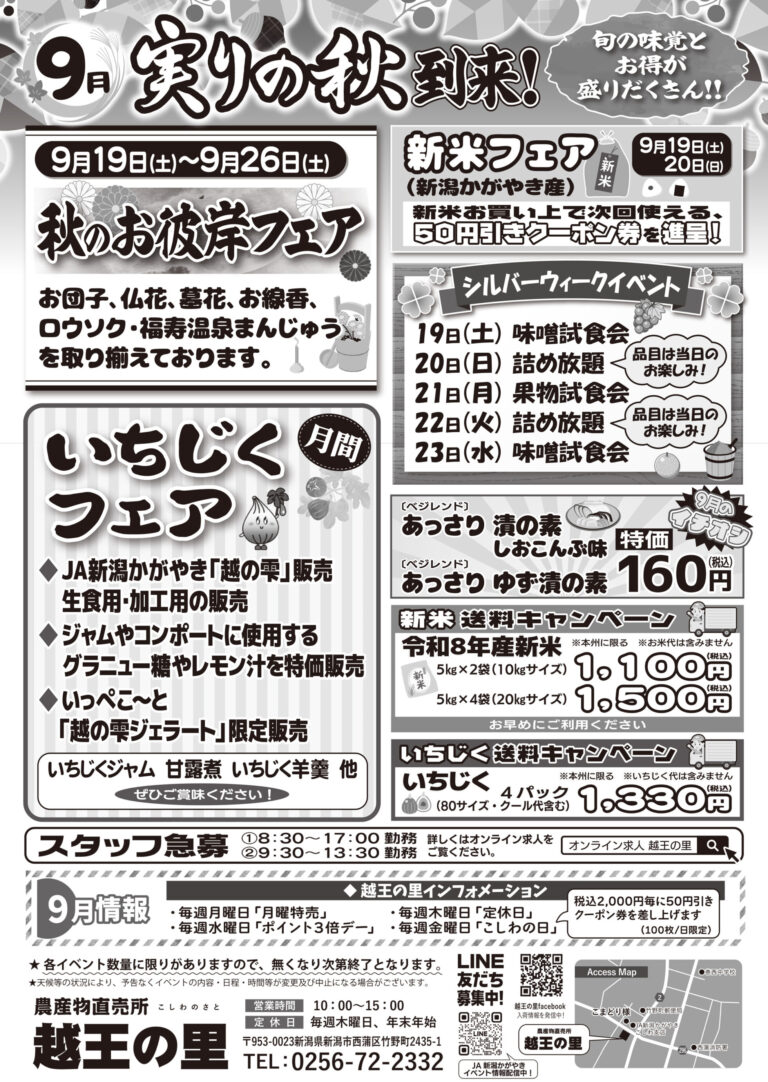 チラシ