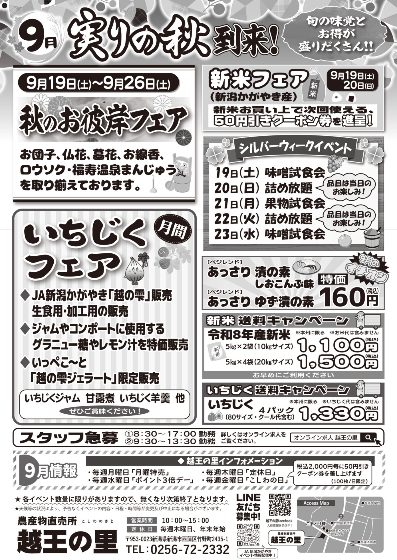 チラシ