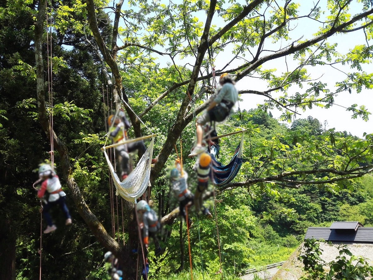 越後丘陵公園_ツリーイング体験