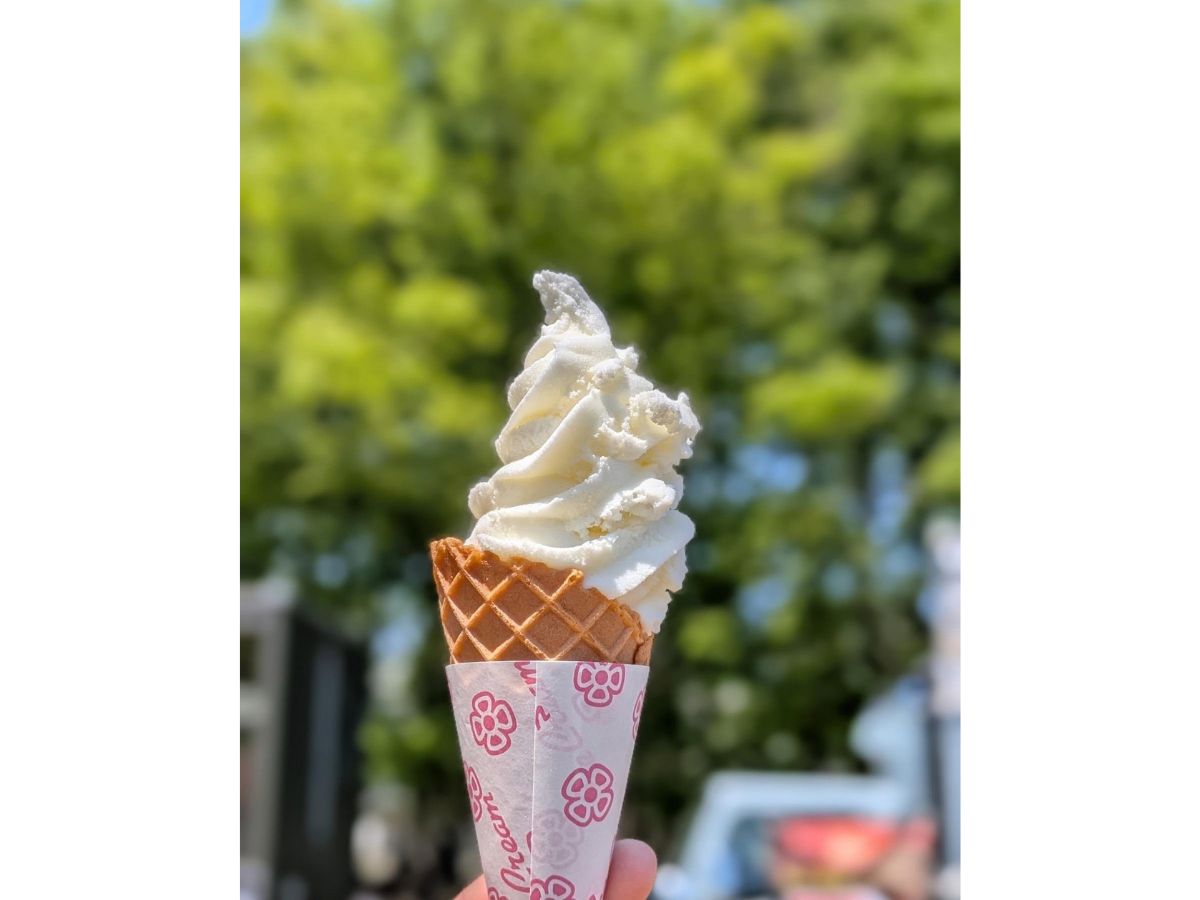 Farmers and Kitchen 2026 in 亀田公園