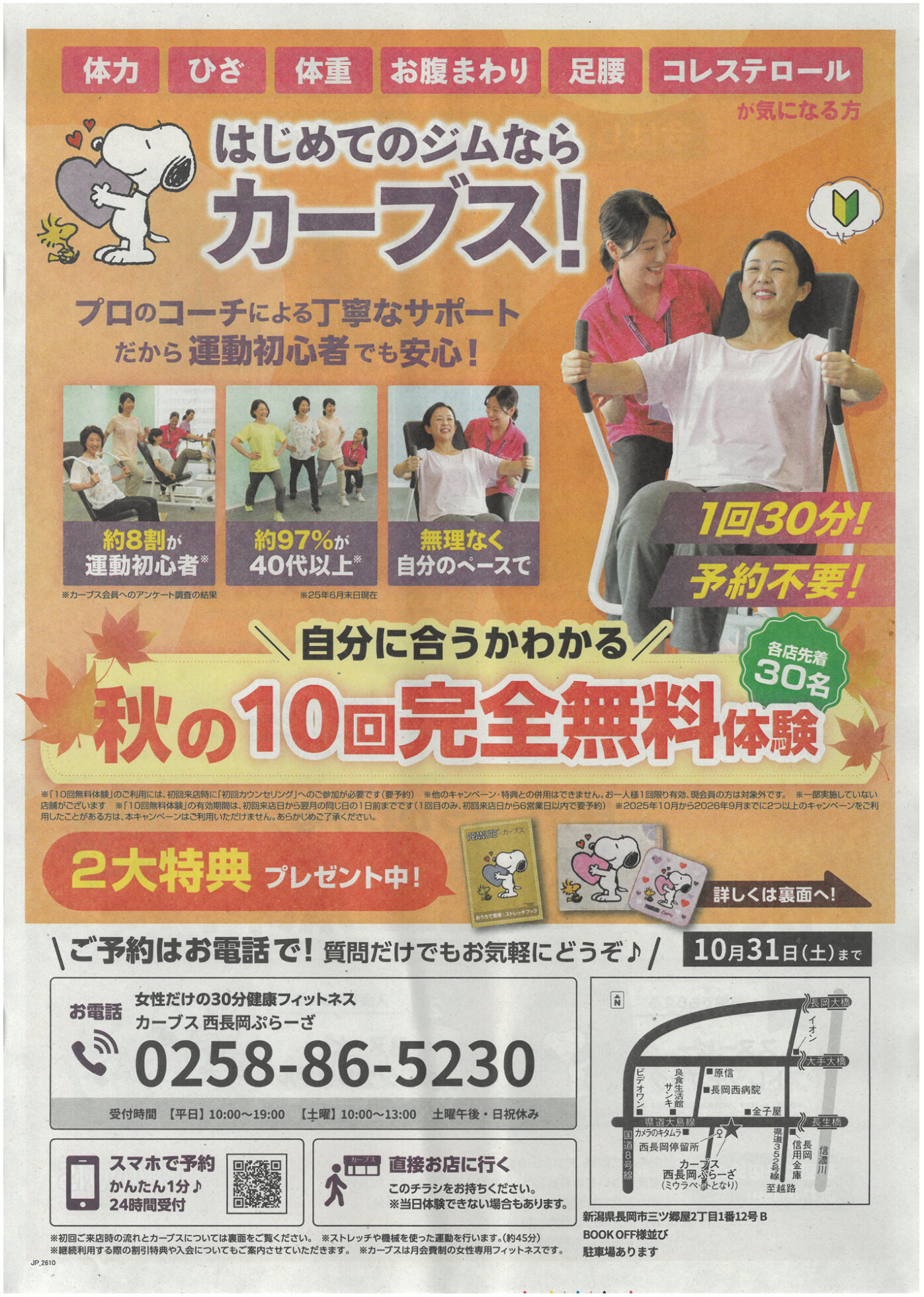チラシ